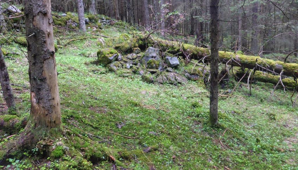 De ligger fordelt i to områder, i vest i et skogholt mellom Fjerdrumsmoen og England og i den sørlige delen av