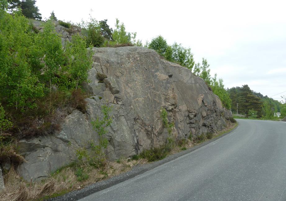 Figur 37. Nordsiden av Dypvågveien (Fylkesvei 411) 26. juni 2015 ved Åsstø.