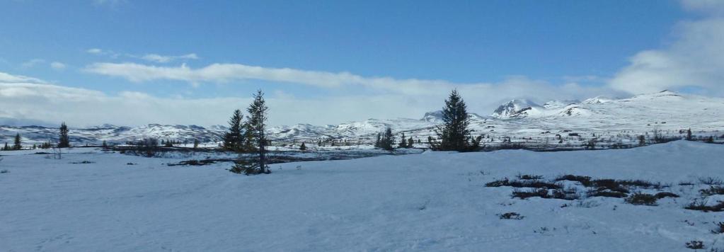 VK FINALE HALLINGPRØVA 12/3-2012. Terreng Torpoåsen, kraftig vind på morgenen, gjennomslagsføre, sol og påsketemperatur. Dommere: Kjell Enberget og Odd Harald Sørbøen.