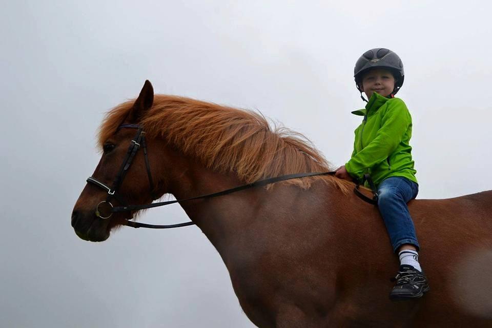 Prosjektet «Hest for folk flest» drives av Hest og Helse/NRYF og har til hensikt å utvikle aktivitetstilbud med hest i