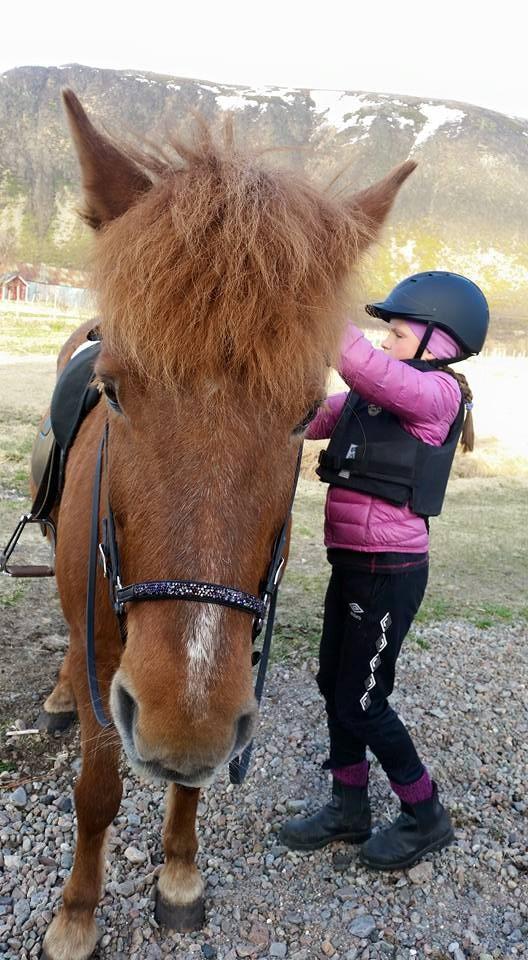 EKSAMEN /NMBU 2017: «Oppstart av dyreassisterte aktiviteter (DAA) med hest for Storgata Aktivitetssenter i Vågan Kommune og positive helseeffekter som følge av dette.