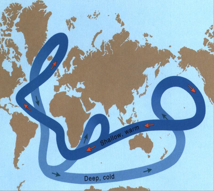 ARCTIC INFLUENCE ON OCEAN CIRCULATION The polar front influences global ocean currents Arktis har en helt fundamental rolle i sirkulasjon og