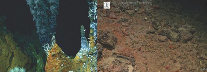 Det finnes tre typer metallmineraler rundt om i verden: manganknoller skorper (utfelte mineraler) sulfidavsetninger fra hydrotermiske kilder Figur 6.