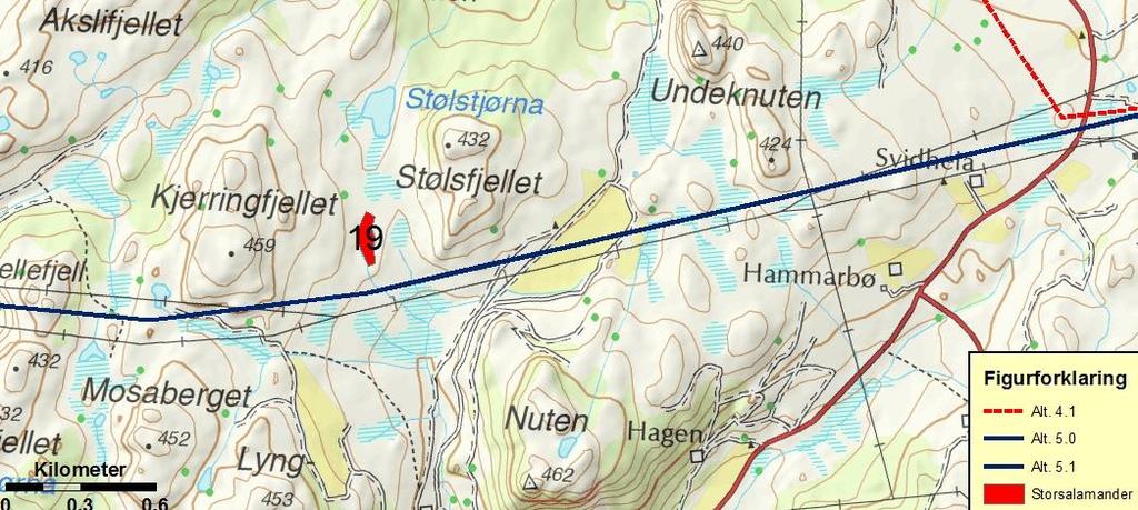 Trasé 4.0/4.1 og 5.0/5.1, Bakkafjellet Gulafjellet Den aktuelle delstrekningen huser en pattedyrbestand som er ganske representativ for distriktet.