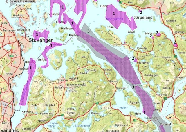 Ny 420 kv forbindelse Lyse Stølaheia Mai 2013 Figur 5.33. Viktige fiskeområder. 1) Rekefiske, 2) Brisling, makrell og sild, 3) Pigghå.