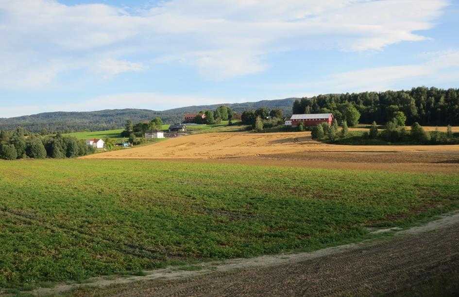 25 av 48 Figur 17: Søndre korridor vil gå tvers gjennom en sentral del av jordbrukslandskapet i Eiker, her ved Nedberg.