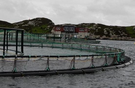 Spesialisering innen akvakultur ved NMBU Ernæring