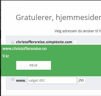 Spesialtilbud: Ditt eget domene 8 9 Nå velger du om du vil ha en gratis side 8