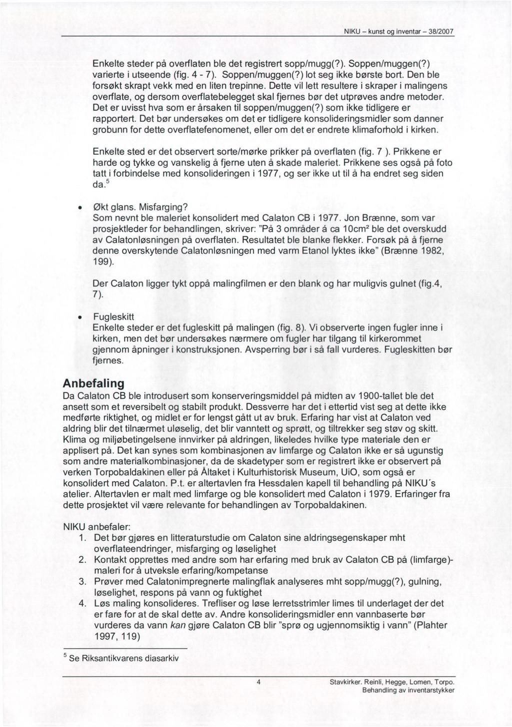 Enkelte steder på overflaten ble det registrert sopp/mugg(?). Soppen/muggen(?) varierte i utseende (fig. 4-7). Soppen/muggen(?) lot seg ikke børste bort.