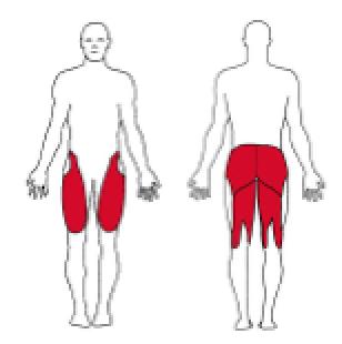 1. Knebøy med vekter (Reps: 8-15, Sets: 2-4) Stå med føttene i skulderbreddes avstand, med valgfrie vekter i hver hånd ned langs siden av kroppen. Bøy ned til ca.