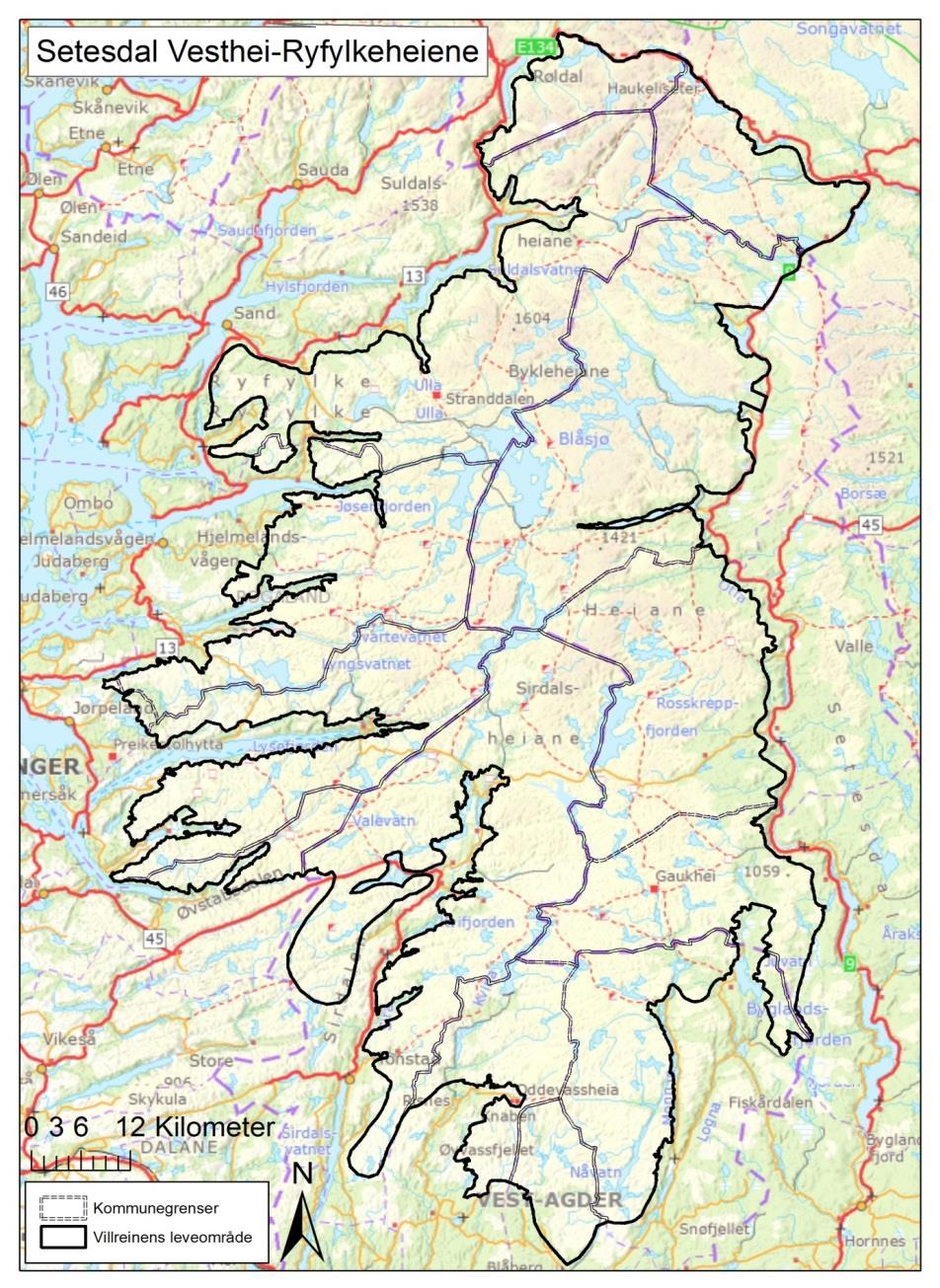 Setesdal Ryfylke villreinområde 6154 km2 og Norges nest største 13 kommuner i 5 fylker FM i Vest-Agder koordinerende