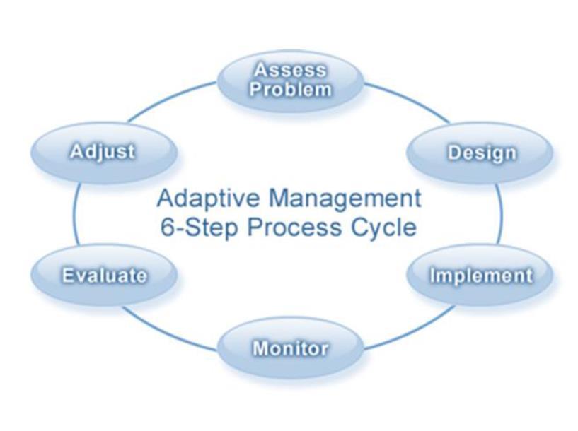 Adaptiv forvaltning (AF) Når forskning og forvaltning integreres Adaptiv syklus der forvaltning brukes til å skape eksperimenter som forbedrer både forskning og forvaltning Etter hvert et svært