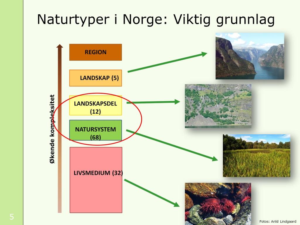 Veien mot denne rødlista har vært lang og arbeidsom. Først måtte det lages et nytt klassifikasjonssystem for natur i Norge.