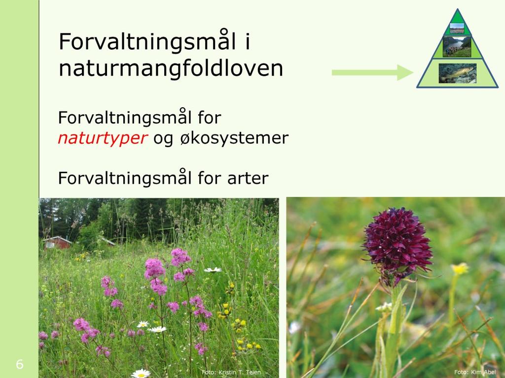 Bildene viser naturtypen slåttemark og planten svartkurle. Forvaltningsmålene gjelder for all forvaltning av natur. De innebærer at tiltak som gjør det umulig å nå målet, ikke kan gjennomføres.