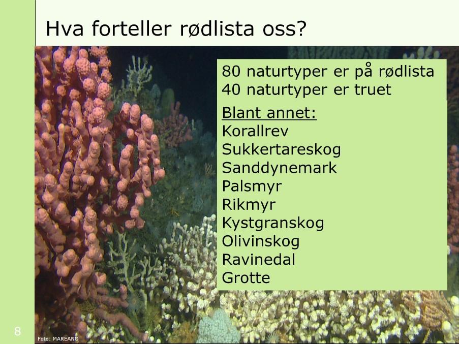 [klikk] Rødlista omfatter 80 naturtyper, [klikk] hvorav halvparten er å regne som truete i dag, blant annetkorallrev, sukkertareskog, sanddynemark, palsmyr, rikmyr, kystgranskog (som er det eneste