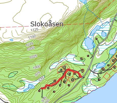 110 Slokulie Hyttefelt nord for vegen i Sloku Navneforslag: SLOKULIE Godkjente