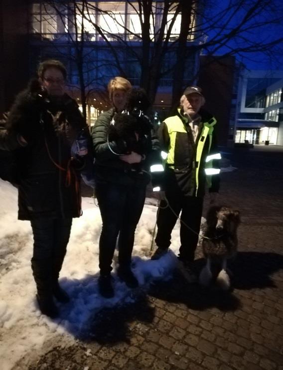 Puddeltreff lørdag 24. februar 2018 Dette ble litt av en puddeldag!! Vi fikk være i lokalene til Bærum Hundesenter som nylig har åpnet på Høvik.