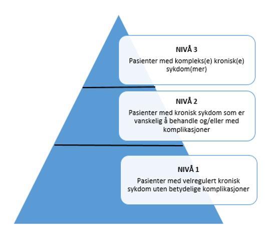 66 Regional utviklingsplan 2035 Helse Sør-Øst - høringsutkast Danmark. Forløpsprogrammet for demens er tatt i bruk i tre av fem regioner. De øvrige programmene er ikke tatt i bruk så bredt.