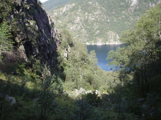 Helt nederst i bekkekløften er det en mosaikk av åpen beitemark, storbregneskog (C1) og beitepreget blåbærskog (A4).