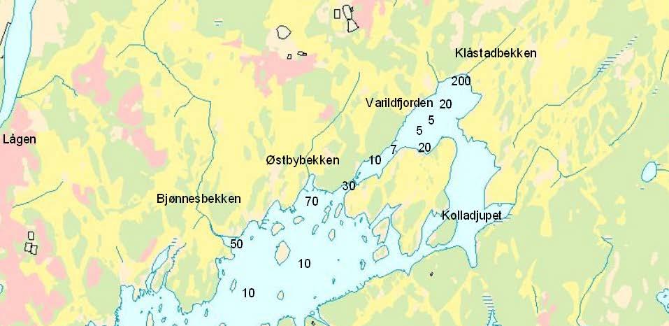 Sterkt påvirket av eutrofi NIVA-rapport 5834-2009 Viksfjorden er sterkt pa virket av eutrofiering, og det er store massive algeflak (grønske) som dekker store deler av fjorden innenfor Vikerøya