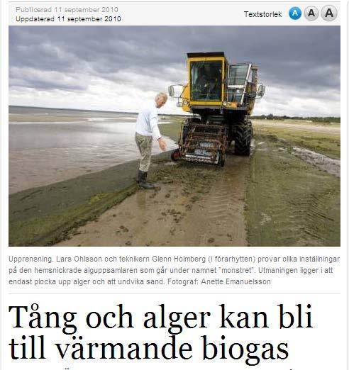 næringssalter fra sedimentene i bunnen.