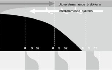 Avløpsvann Figur 2.