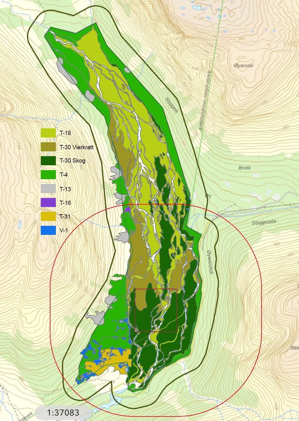 Figur 7. Vegetasjonskart over Fåbergstølsgrandane i Sogn og Fjordane fra kartleggingen i 2017.