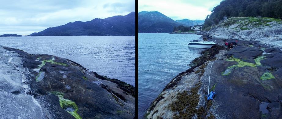 St. 14 Mjånestangen, Sævareidfjorden Vanntype: Beskyttet kyst/fjord Naturtype litoralt: Strandberg, fjæresone-vannstrand på fast bunn Naturtype sublitoralt: Tareskogbunn Rødlistearter: Ingen