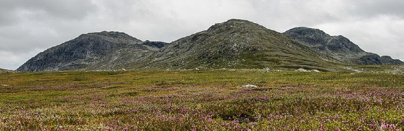 Skardsfjella og Hyllingsdalen landskapsvernområde er et større naturområde som er relativt lite påvirket av tyngre tekniske inngrep og med et biologisk mangfold som preger landskapet.