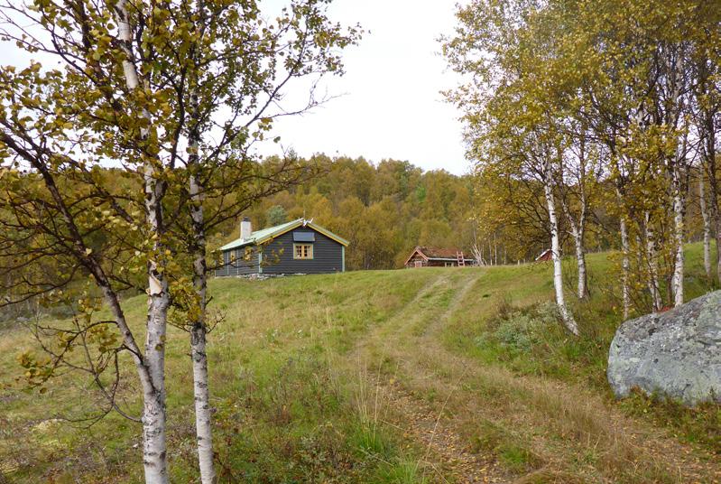 TABELL 4: Samlet oversikt over de 13 undersøkte kulturmarkslokalitetene i Skardsfjella og Hyllingsdalen landskapsvernområde, med prioritet 1 3 i forhold til skjøtsel og med verdi som naturtype.