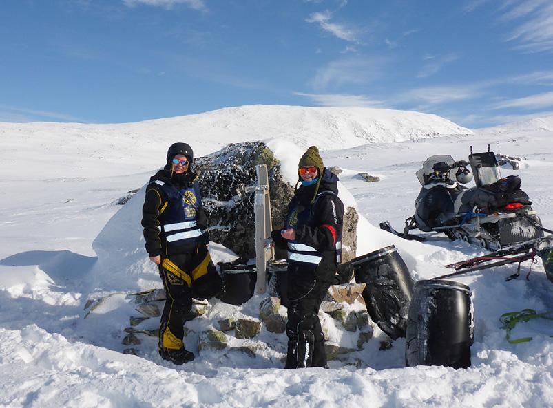 Foring av fjellrev i Skardsfjella. Foto: Marit S. Berger.