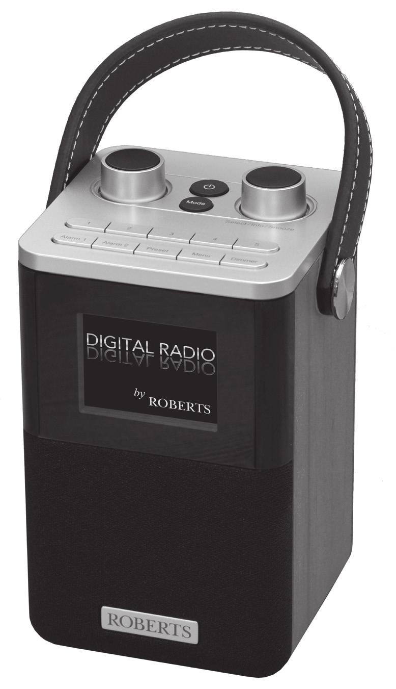 Blutune T2 DAB / DAB+ / FM RDS / Bluetooth bærbar digital