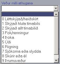 þrumur á aðeins að skrá gildi hafi þessara fyrirbrigða orðið vart. Annars á hann að vera óútfylltur. Mynd 15.