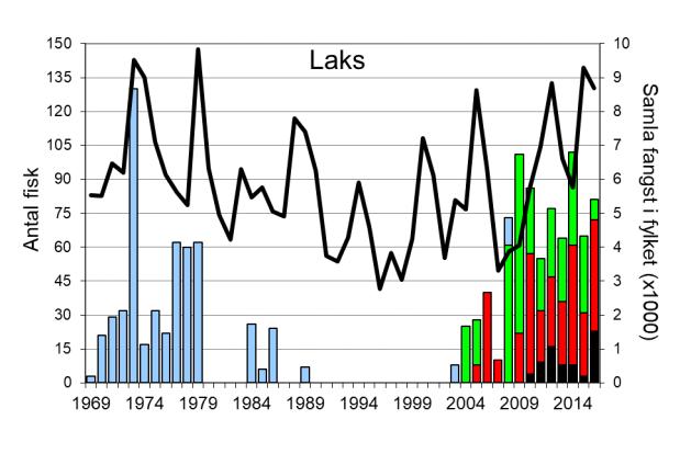 Laksen i vassdraget vart freda i 199, men det vart igjen opna for fiske etter laks frå fiskesesongen 23, etter at vassdraget vart definert som ikkje lakseførande. Figur 5.1.1. Årleg fangst av laks (stolpar, venstre) og sjøaure (høgre) i Årdalsvassdraget i perioden 1969-216.