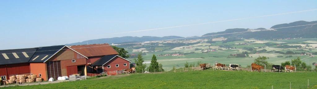 Avdråtten aukar og beite sin andel av fôrrasjonen går ned 9 000 3000 8000