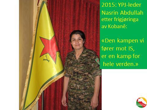 Bilde 15. De kurdiske styrkene (YPG/YPJ) fortsatte kampen mot IS etter seieren i Kobanê.