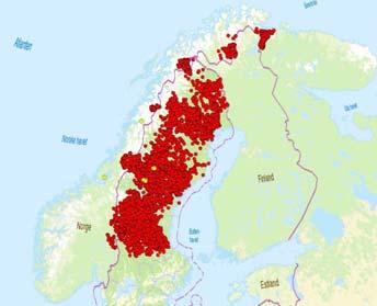 12 12 11 12 1 9 6 78 9 9 1 5 6 4 5 67 7 5 2 3 4 3 1 1 1 2 2 29 21 211 212 213 214 215 216 217 a Finnmark a Hedmark a Nordland a NT a Oppland a ST a Troms * *Bischof,