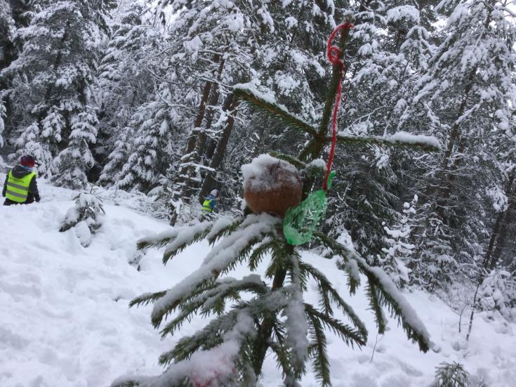 do og ikke minst har nisse Nils rotet på avdelingen, knyttet igjen dører, spist pepperkaker og rosiner, laget rosa