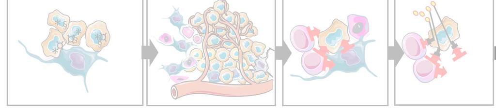 Kreftceller: Hvilke mutasjoner er vesentlige, hva betyr disse for kreftcellene?