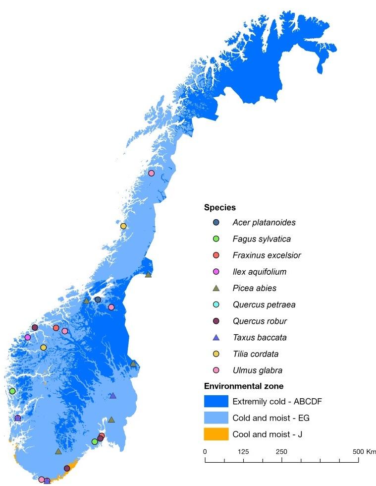 Norske treslag som er omfattet av in situ bevaring: Spisslønn (Acer platanoides) Bøk (Fagus sylvatica) Ask (Fraxinus excelsior) Kristtorn (Ilex aquifolium) Gran (Picea abies) Vintereik (Quercus