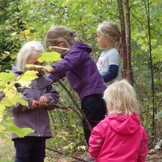 Til og med noen nyhøstede tomater ble pyntet med, men de ble mer og mer spist på utover dagen, og da