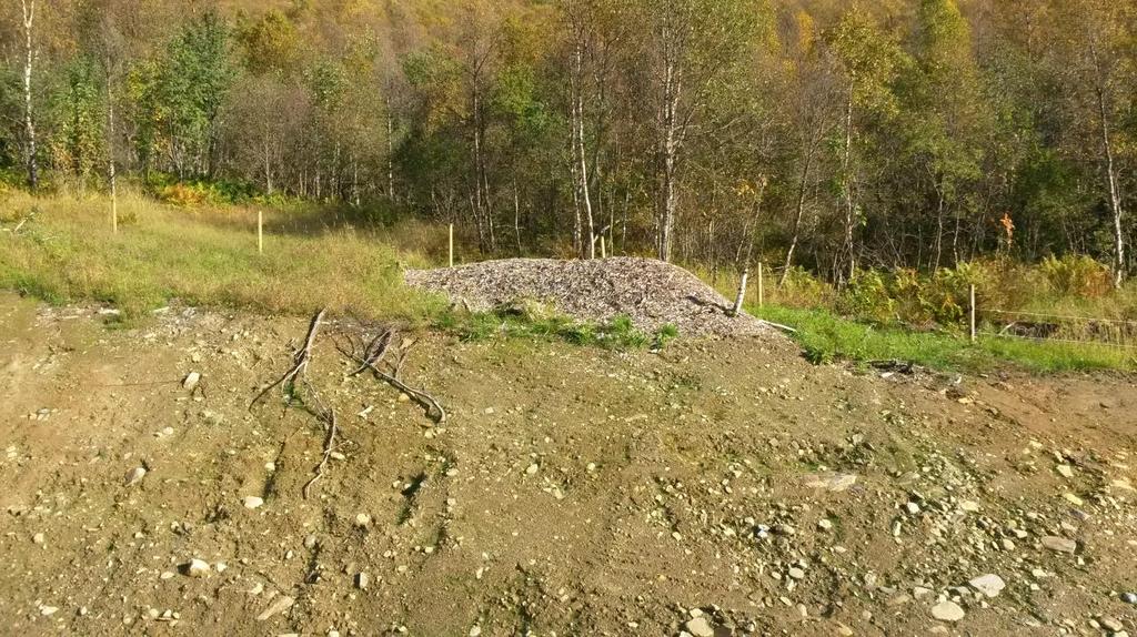 Pile of woodchips W of highway E8 (locality 3). Fig. 6. Lavangsdalen, ca. 1 km nord for utløpet av Mellomdalen.