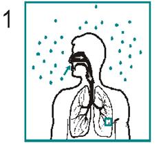 Smitte av tuberkulose skjer via luft. Dråpekjerner med mykobakterier dannes når pasienter med smitteførende lungetuberkulose hoster, nyser, snakker, ler eller synger.
