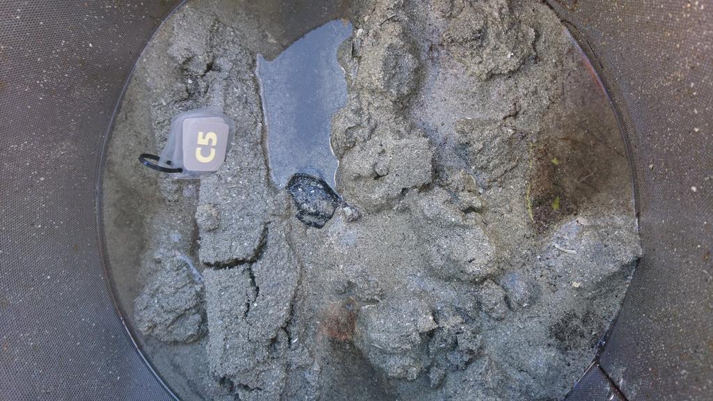 Figur 8: Bilde av sedimentet ved C5.
