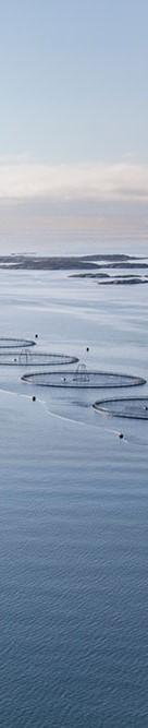 Vurdering om Konsekvensutgreiing Ny forskrift om konsekvensutgreiingar FOR- 2017-06-21-854 Ved søknad om løyve til akvakultur skal det gjerast ei en vurdering av om tiltaket