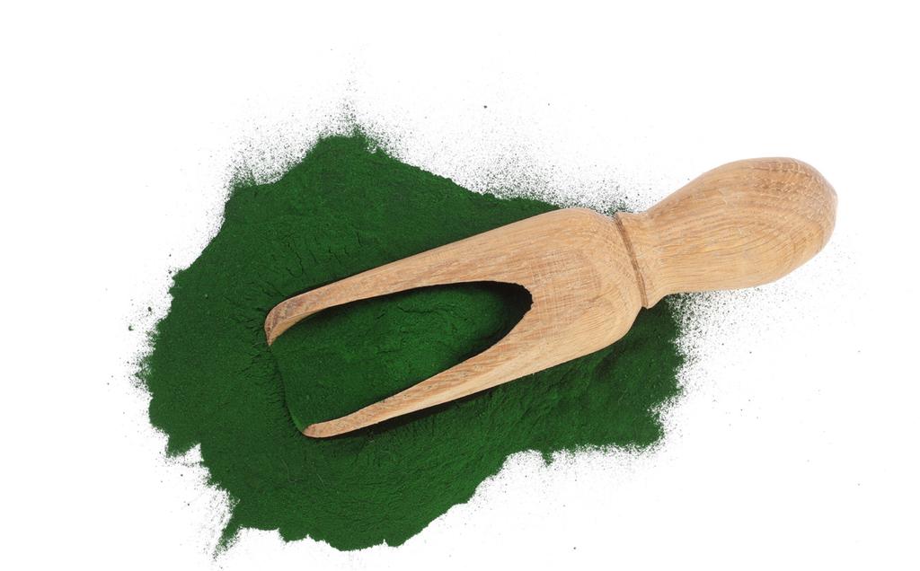 9. SPIRULINA VIRKESTOFFER 70% protein: Byggverk og styrke Vitamin B: Styrker huden og metabolismen Vitamin C: Styrker kollagen og bindevevet Vitamin D: Styrker immunforsvaret Vitamin A: Regenererende