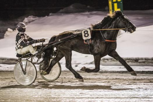 Oppdretter: Terje Hotvedt LØP 7 GYLDNE TIDERS løp 2100m FAS BLÆSEN