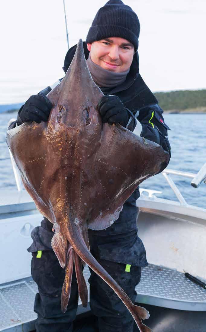 7,9 kg Havfiske på Salsnes Vi leide forvalterboligen på Utmarkscompagniets (http:// utmarkscompagniet.no/) Mo Gård denne uken. Vilhelm jobber som guide der, og han organiserte hele turen.