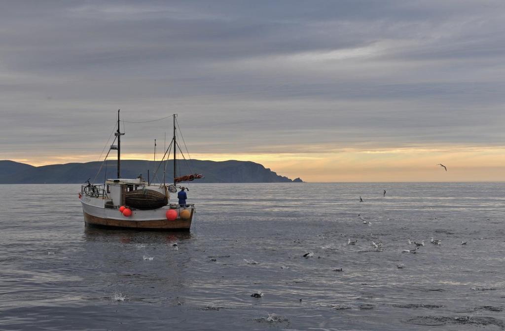 Kystfisker ved Sørøya, Sørøya/Seiland/Kvaløya med innland