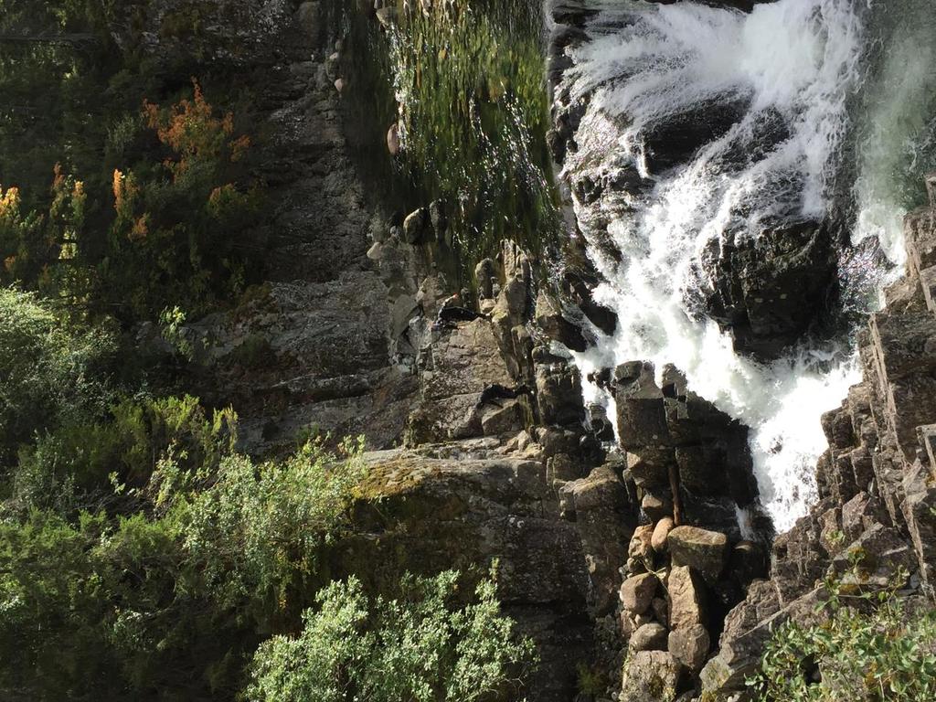 Figur 13. Samløpet mellom Tokkeåi og Dalaåi i Åmøtehylen. Fossen ved Setahylen i Dalaåi (figur 14) vurderes som vandringsbegrensende både ved lave og høye vannføringer.